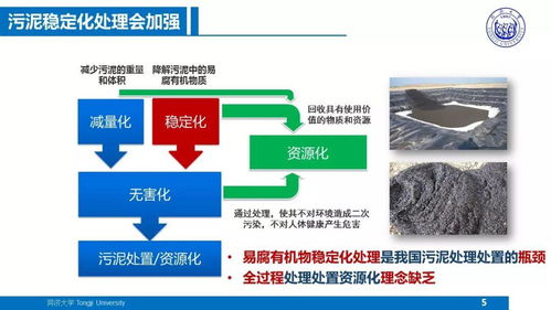 面向污水廠提質(zhì)增效的污泥處理處置技術(shù)方向及農(nóng)業(yè)面源與重金屬污染防治技術(shù)服務(wù)