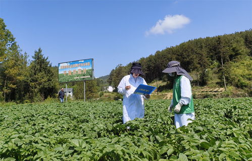 萬源硒科助農(nóng)結(jié)碩果，富硒產(chǎn)業(yè)發(fā)展與環(huán)保雙贏