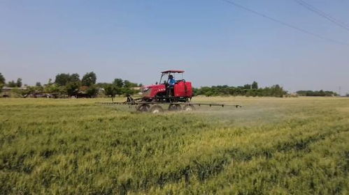 濰坊農(nóng)機(jī)農(nóng)技雙保障，夏糧有望實(shí)現(xiàn)面積單產(chǎn)總產(chǎn)三增長