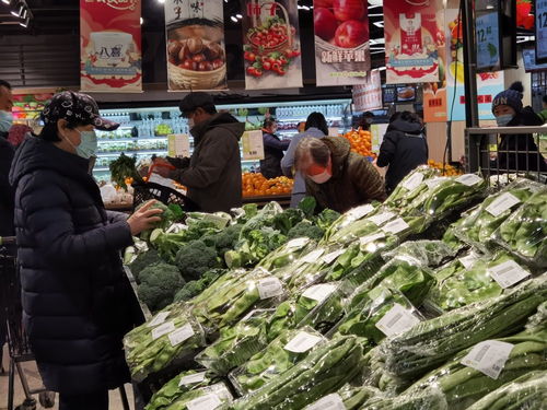 首農食品節盛大啟幕，惠民與環保并行 500種商品讓利三成，農業綠色技術護航